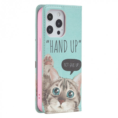 Motif de dessin coloré Invisible Horizontal Horizontal Flip PU Coque en cuir PU avec porte-carte et portefeuille pour iPhone 13 (chat) SH202A54-07