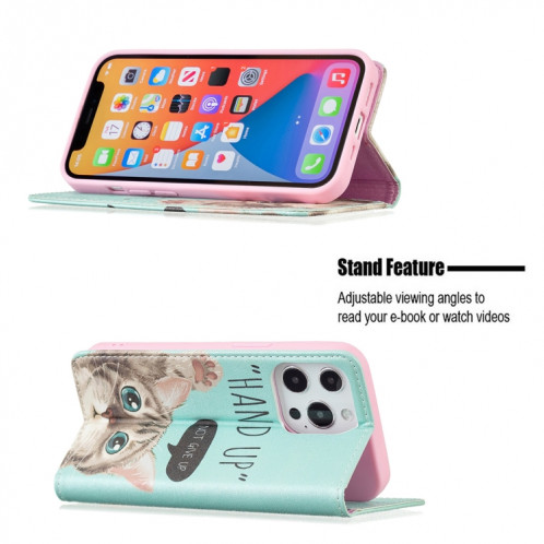 Motif de dessin coloré Invisible Horizontal Horizontal Flip PU Coque en cuir PU avec porte-carte et portefeuille pour iPhone 13 (chat) SH202A54-07