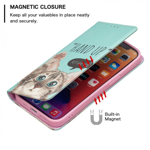 Motif de dessin coloré Invisible Horizontal Horizontal Flip PU Coque en cuir PU avec porte-carte et portefeuille pour iPhone 13 (chat) SH202A54-07