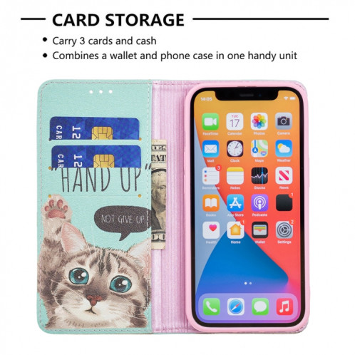 Motif de dessin coloré Invisible Horizontal Horizontal Flip PU Coque en cuir PU avec porte-carte et portefeuille pour iPhone 13 (chat) SH202A54-07