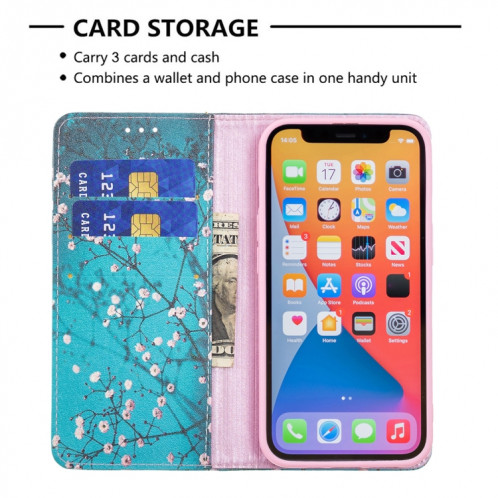 Modèle de dessin coloré Invisible Horizontal Horizontal Flip PU Coque en cuir PU avec support & carte Slots & Portefeuille pour iPhone 13 Pro (Blossom de prune) SH203F1337-07
