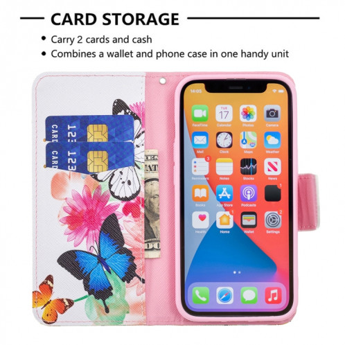 Modèle de dessin coloré Horizontal Flip Cuir Case avec support & Card Slots & Portefeuille pour iPhone 13 (deux papillons) SH402E954-07