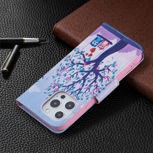 Motif de dessin coloré Horizontal Flip Cuir Case avec support & Card Slots & Portefeuille pour iPhone 13 (deux hiboux) SH402B1035-07