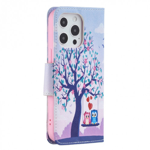 Modèle de dessin coloré Horizontal Flip Cuir Case avec porte-cartes et portefeuille pour iPhone 13 Pro (deux hiboux) SH403B1688-07