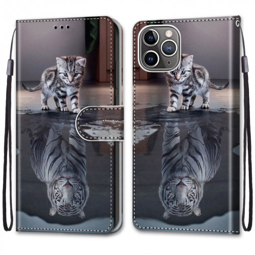 Dessin coloré Texture Croix Texture Horizontale Étui en cuir PU avec support & carte Slots & Portefeuille et longe pour iPhone 13 Pro (chat devient tigre) SH003L480-07