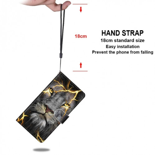 Dessin coloré Texture Croix Horizontal Flip PU Coque en cuir PU avec support & carte Slots & Portefeuille et longe pour iPhone 13 PRO (lion de fission) SH003S1654-07