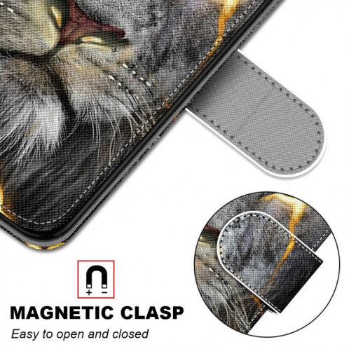 Dessin coloré Texture Croix Horizontal Flip PU Coque en cuir PU avec support & carte Slots & Portefeuille et longe pour iPhone 13 PRO (lion de fission) SH003S1654-07