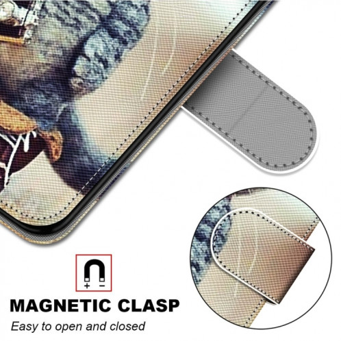 Dessin coloré Texture Croix Texture Horizontale Étui en cuir PU avec porte-cartes et portefeuille et lanière pour iPhone 13 Pro (Chaussures en cuir chat) SH803A1644-07