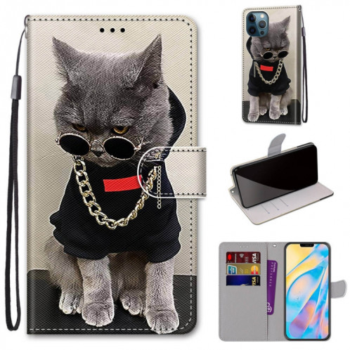 Dessin coloré Texture Texture Horizontale Flip PU Coque en cuir PU avec porte-carte et portefeuille et lanière pour iPhone 13 Pro (B09 Chaîne Golden Gris Chat) SH803I407-07
