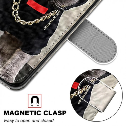 Dessin coloré Texture Texture Horizontale Flip PU Coque en cuir PU avec porte-carte et portefeuille et lanière pour iPhone 13 Pro (B09 Chaîne Golden Gris Chat) SH803I407-07