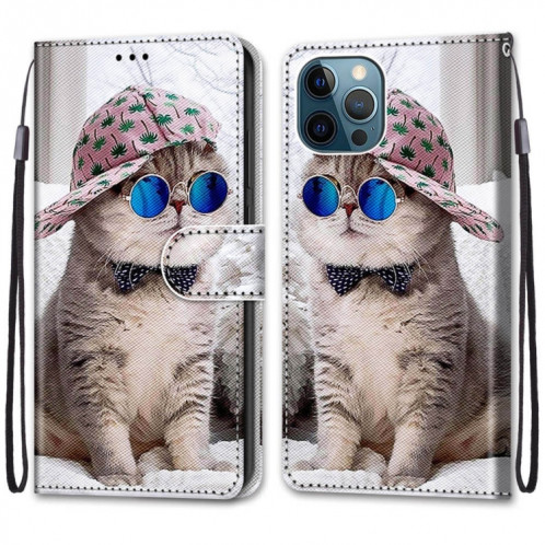 Dessin coloré Texture Croix Texture Horizontale Étui en cuir PU avec porte-carte et portefeuille et portefeuille pour iPhone 13 Pro (chapeau bleu miroir bleu chat) SH803T1799-07