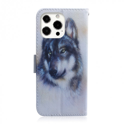 Dessin coloré Horizontal Flip Cuir Case, avec porte-cartes et portefeuille pour iPhone 13 Pro (White Wolf) SH703A1326-05