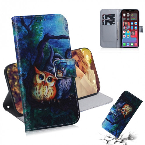 Dessin coloré Horizontal Flip Cuir Case, avec porte-cartes et portefeuille et portefeuille pour iPhone 13 Pro (hibou de peinture à l'huile) SH703B1775-05