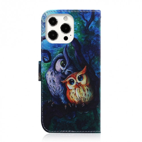 Dessin coloré Horizontal Flip Cuir Case, avec porte-cartes et portefeuille et portefeuille pour iPhone 13 Pro (hibou de peinture à l'huile) SH703B1775-05