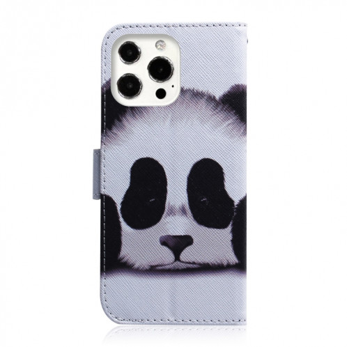 Dessin coloré Horizontal Flip Cuir Case, avec porte-cartes et portefeuille pour iPhone 13 Pro (Panda) SH703H1195-05