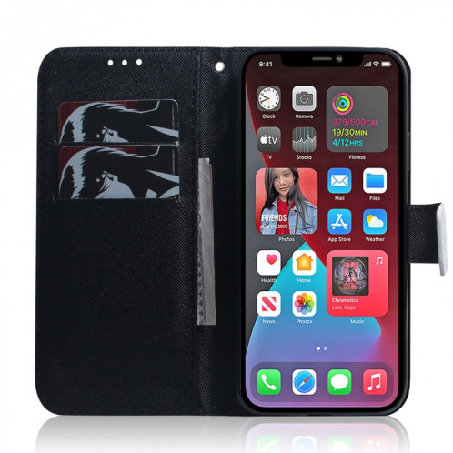 Dessin coloré Horizontal Flip Cuir Case, avec porte-cartes et portefeuille pour iPhone 13 Pro (Panda) SH703H1195-05