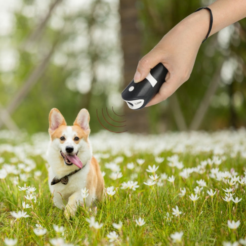 République de chien ultrasonique portable RC-534 avec des lumières LED (noir + blanc) SH701A1369-07