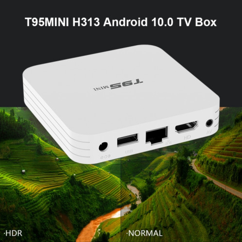 T95Mini 4K HD Network TV Boîte supérieure, Android 10.0, Allwinner H313 Quad Core 64 bits Cortex-A53, 1 Go + 8 Go, Support 2.4G WiFi, HDMI, AV, LAN, USB 2.0, Fiche UE SH28011264-012