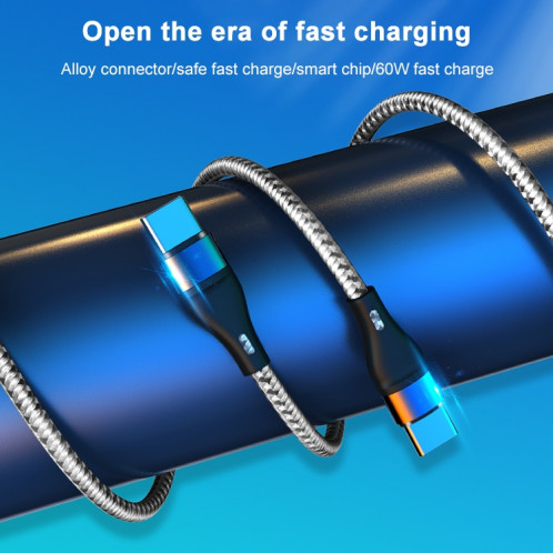 ADC-004 USB-C / TYPE-C à USB-C / TYPE-C PD Fast Charging Tableau de données Tableau de données, Longueur: 1m (argent) SH401C220-07