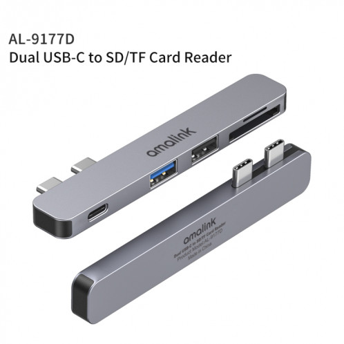 Amalink 9177D Dual Type-C / USB-C sur le lecteur de carte SD / TF (gris) SA101A1217-06