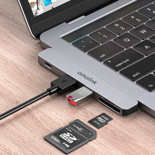Amalink 9177D Dual Type-C / USB-C sur le lecteur de carte SD / TF (gris) SA101A1217-06