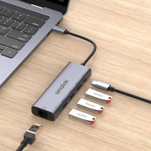 Amalink 95121D Type-C / USB-C à RJ45 + 3 ports HUB Multi-Fonctionnement USB + PD 3.0 (gris) SA001A579-07