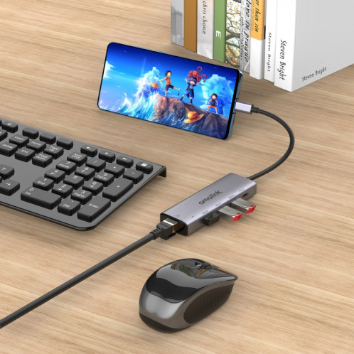 Amalink 95121D Type-C / USB-C à RJ45 + 3 ports HUB Multi-Fonctionnement USB + PD 3.0 (gris) SA001A579-07