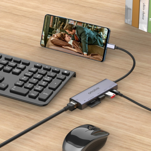 Amalink 95122D Type-C / USB-C sur RJ45 + 2 ports HUB Multi-Fonctionnement USB + PD 3.0 (gris) SA201A886-07