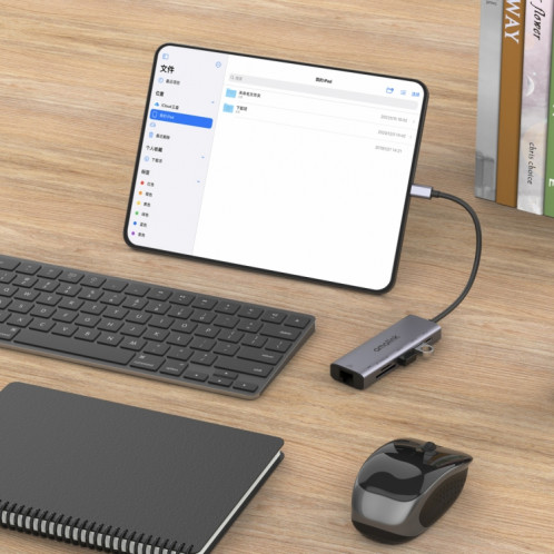 Amalink 95122D Type-C / USB-C sur RJ45 + 2 ports HUB Multi-Fonctionnement USB + PD 3.0 (gris) SA201A886-07