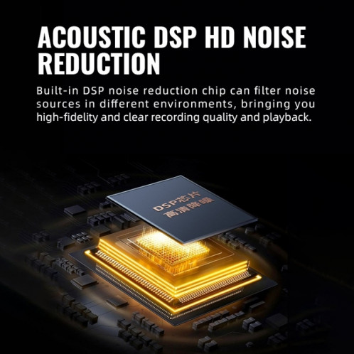 Vérification vocale Smart HD Smart HD Contrôle de la voix STORIQUE MAGNÉTIQUE STYEN, CAPACITÉ: 8GB (Noir) SH802A306-07