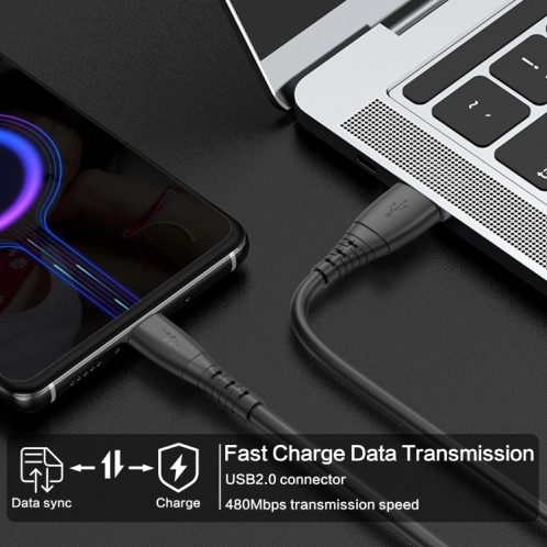 Câble de données de charge de printemps 3A Type-C / USB-C (noir) SH201A707-07