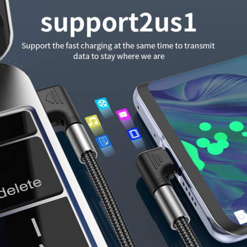 Câble USB USB vers USB-C / Type-C double de charge (3M) SH301D1744-07