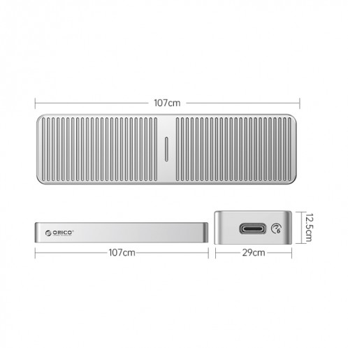 ORICO M221C3-SV Boîtier SSD M.2 NGFF 6 Gbps (Argent) SO601B852-08