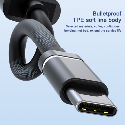 Station d'accueil USB-C / Type-C vers 3,5 mm + 2USB + Type-C HUB (Gris) SH101A1751-07