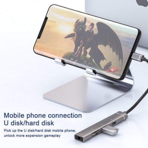 Station d'accueil USB-C / Type-C vers 3,5 mm + 2USB + Type-C HUB (Gris) SH101A1751-07