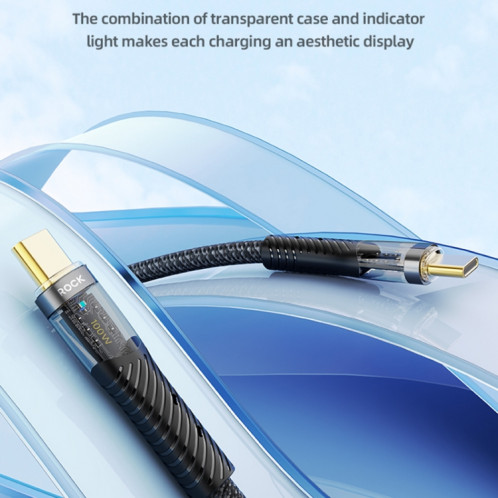 Câble de données de charge rapide transparent ROCK Z21 100 W USB-C/Type-C vers USB-C/Type-C, longueur : 1,2 m (noir) SR801A1583-07