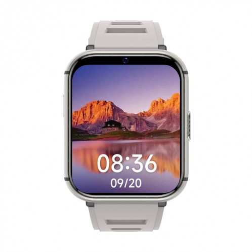 Q668 1,99 pouces Écran 4G Smart Watch Android 9.0, Spécification: 4 Go + 64 Go (Argent) SH302B1701-013