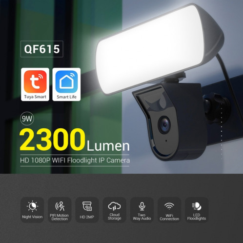 Caméra IP WiFi étanche ESCAM QF615 2MP IP66 et projecteur, prise en charge de la vision nocturne/détection de mouvement PIR/audio bidirectionnel () SE201A1620-011