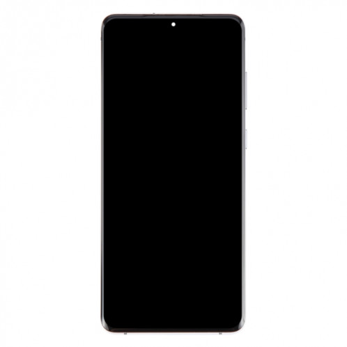 Pour Samsung Galaxy S20+ 4G/5G SM-G985/986 6,67 pouces OLED LCD Écran Numériseur Assemblage Complet avec Cadre (Argent) SH902S432-08