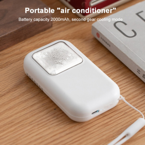 Appareil de compression de refroidissement à semi-conducteur portatif extérieur DQ220 (vert glace) SH301B535-07