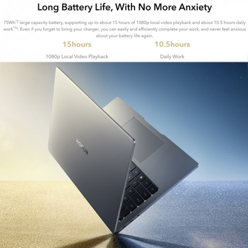 Ordinateur portable HONOR MagicBook 14 2022, 16 Go + 512 Go, 14 pouces Windows 11 Home Version chinoise, Intel 12e génération Core i5-12500H RTX2050 Discrete Graphics (Gris) SH201A1138-029