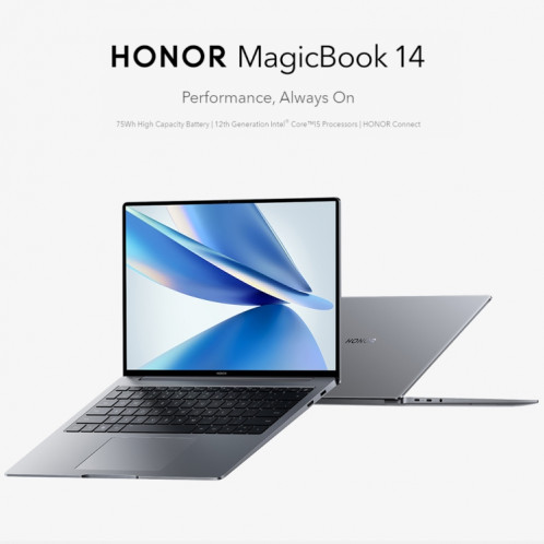 Ordinateur portable HONOR MagicBook 14 2022, 16 Go + 512 Go, 14 pouces Windows 11 Home Version chinoise, Intel 12e génération Core i5-12500H RTX2050 Discrete Graphics (Gris) SH201A1138-029