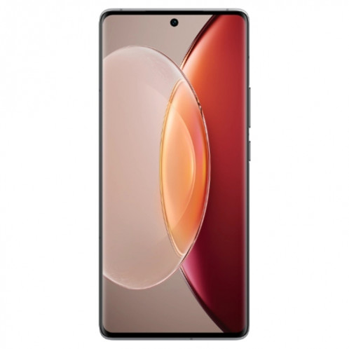 vivo X90s 5G, caméras arrière triples, 8 Go + 256 Go, identification des empreintes digitales de l'écran d'identification du visage, 6,78 pouces Android 13.0 OriginOS 3 Dimensity 9200+ Octa Core, NFC, OTG, réseau : SV501B561-017
