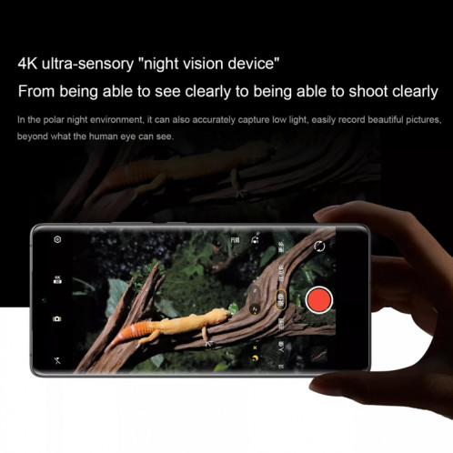 vivo X90s 5G, caméras arrière triples, 8 Go + 256 Go, identification des empreintes digitales de l'écran d'identification du visage, 6,78 pouces Android 13.0 OriginOS 3 Dimensity 9200+ Octa Core, NFC, OTG, réseau : SV501C274-017