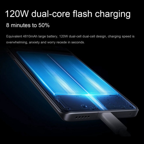 vivo X90s 5G, caméras arrière triples, 12 Go + 512 Go, identification des empreintes digitales de l'écran d'identification du visage, 6,78 pouces Android 13.0 OriginOS 3 Dimensity 9200+ Octa Core, NFC, OTG, réseau : SV503C1370-017