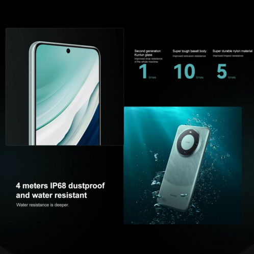 HUAWEI Mate 60, 12 Go + 512 Go, identification par empreinte digitale à l'écran, 6,69 pouces HarmonyOS 4.0 Kirin 9000S Octa Core jusqu'à 2,62 GHz, NFC, OTG, ne prend pas en charge Google Play (noir) SH301C263-014
