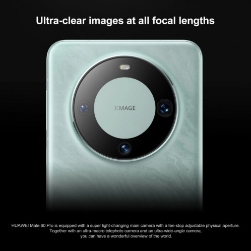HUAWEI Mate 60 Pro, 12 Go + 1 To, identification par empreinte digitale à l'écran, 6,69 pouces HarmonyOS 4.0 Kirin 9000S Octa Core jusqu'à 2,62 GHz, NFC, OTG, ne prend pas en charge Google Play (cyan) SH302A1836-015