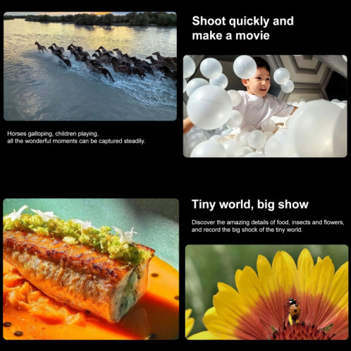 HUAWEI Mate 60 Pro, 12 Go + 1 To, identification par empreinte digitale à l'écran, 6,69 pouces HarmonyOS 4.0 Kirin 9000S Octa Core jusqu'à 2,62 GHz, NFC, OTG, ne prend pas en charge Google Play (noir) SH302C1312-015