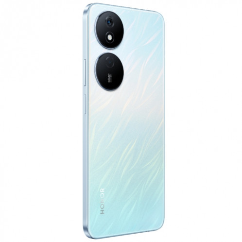 Honor Play8T, 12 Go + 256 Go, 6,8 pouces MagicOS 7,2 Dimensity 6080 Octa Core jusqu'à 2,4 GHz, réseau : 5G, OTG, ne prend pas en charge Google Play (argent) SH502A951-09