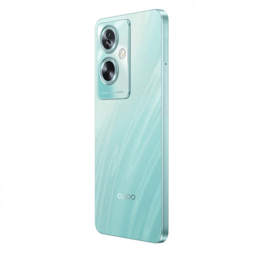 OPPO A2, 12 Go + 512 Go, empreinte digitale latérale, 6,72 pouces ColorOS 13,1 Dimensity 6020 Octa Core jusqu'à 2,2 GHz, OTG, réseau : 5G (vert brillant) SO002C848-013